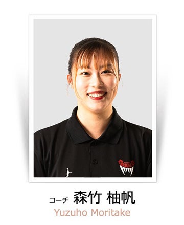 森竹