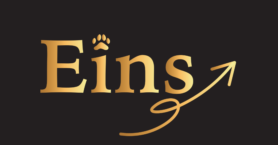 株式会社Eins