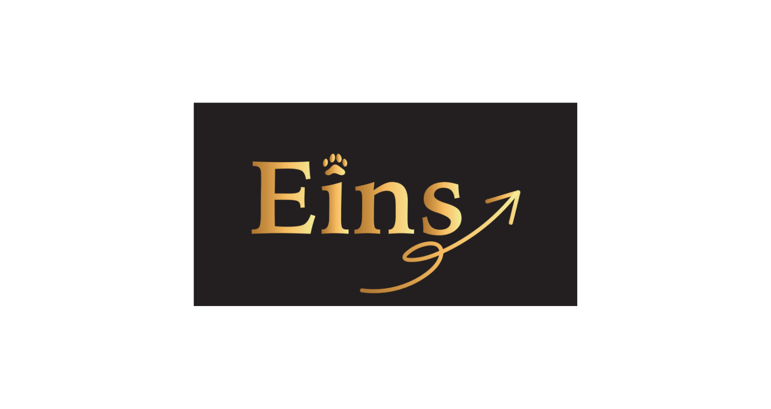 株式会社Eins